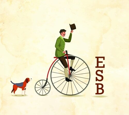Way Ber ESB