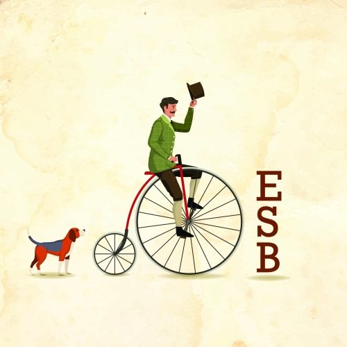 Way Ber ESB