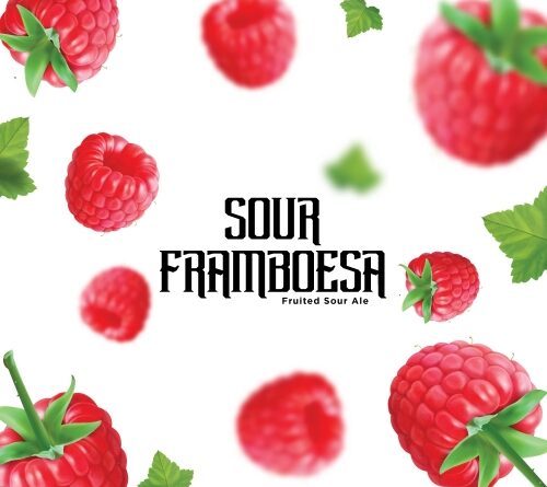 Way Beer Sour Framboesa